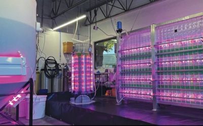 Sustainable Concrete through Biocement Technologies