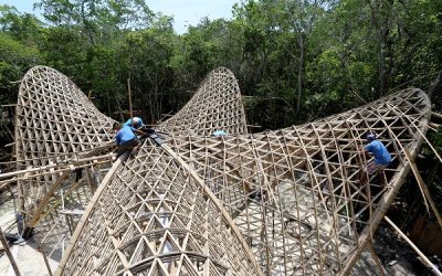 Structural Engineering Case Study: Bamboo’s Innovative Role in Sustainable Architecture
