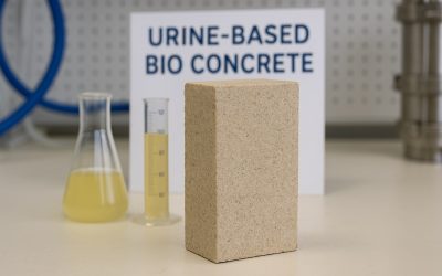 Urine-Based Bio Concrete: A Sustainable Building Material from Human Waste
